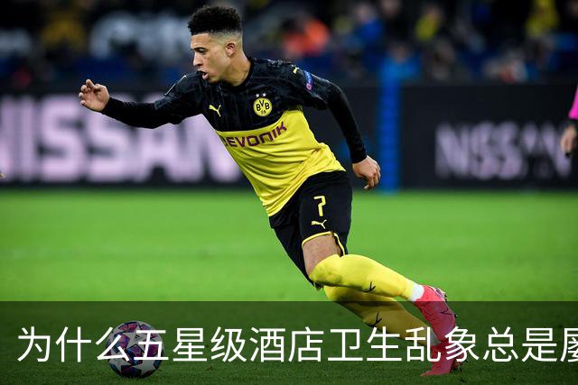 为什么五星级酒店卫生乱象总是屡禁不止？