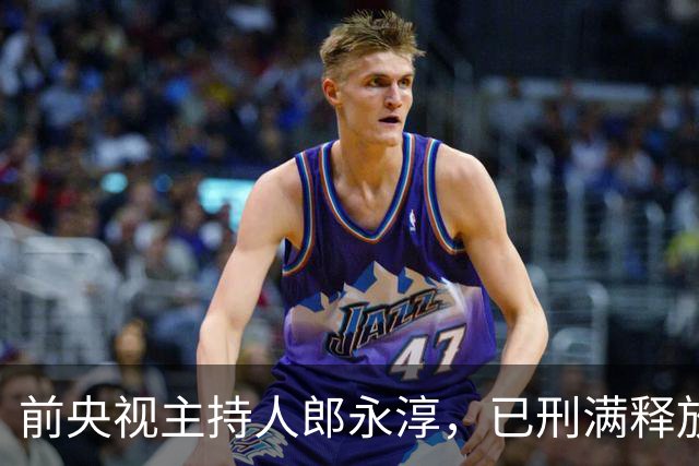 前央视主持人郎永淳，已刑满释放8年了，如今儿子成“心结”