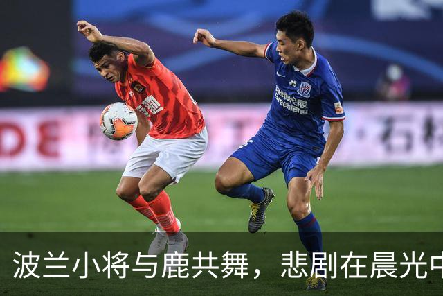 波兰小将与鹿共舞，悲剧在晨光中上演
