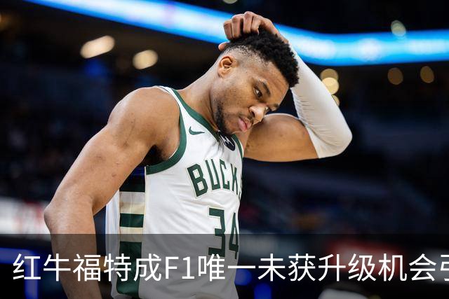红牛福特成F1唯一未获升级机会引擎制造商，梅基斯质疑“没有数据点”证明其最强