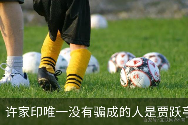 许家印唯一没有骗成的人是贾跃亭，反被小贾给骗了8亿美元，高手